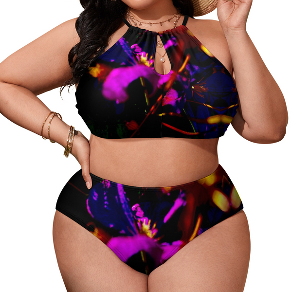 The Beauty of Ingenuity Plus Size Adjustable Bikini